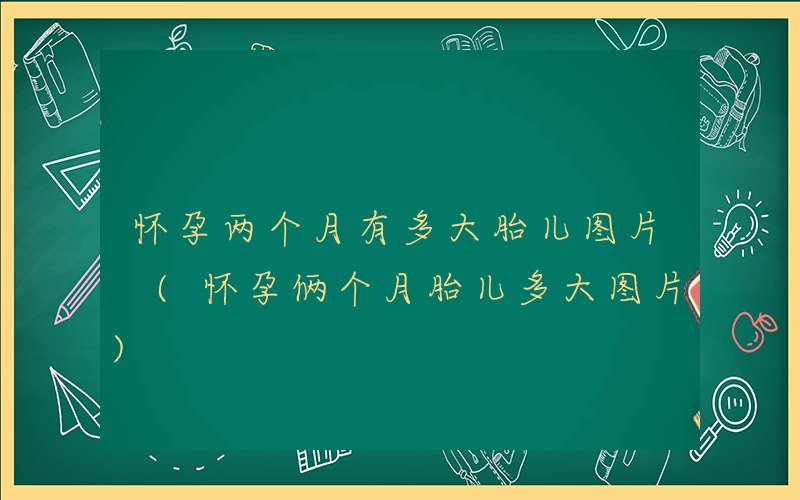 怀孕两个月有多大胎儿图片 (怀孕俩个月胎儿多大图片)
